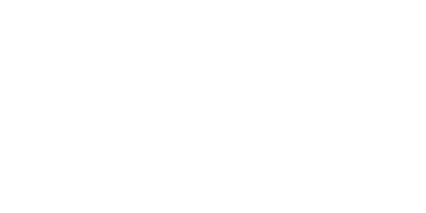 넷페이 logo